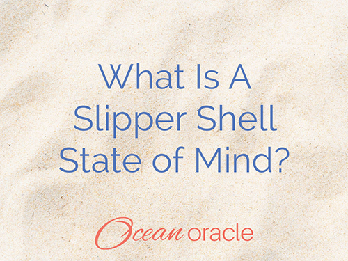 What Is a Slipper Shell State of Mind?