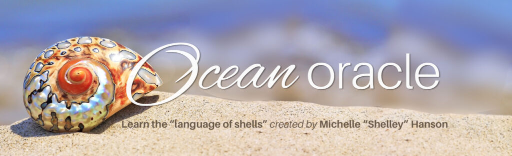 Ocean Oracle with Shelley Hanson website header